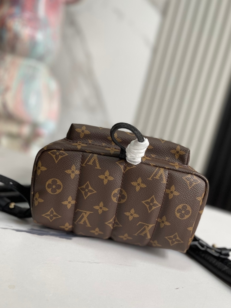 Louis Vuitton Backpacks